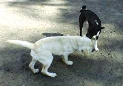 my friend!