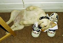 resting