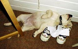 after jogging