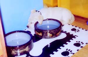 sleeping