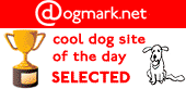 dogmark.net