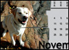 November